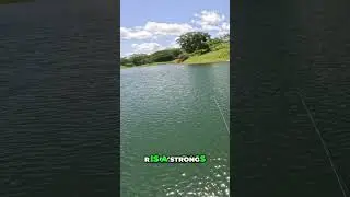 Fishing for Rainbow Bass: Lure Techniques & Tips