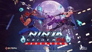 Return of the 2D NG, HYAH