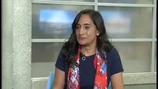 Defence Minister Anita Anand speaks on Ukraine