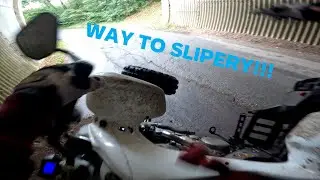 Wide Open in the WOODS with small CRASH | Suzuki LTZ 400 | PURE SOUND