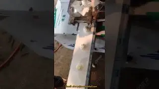 Automatic Chinese Bun Making Machine Manufacturers sherry@machinehall.com