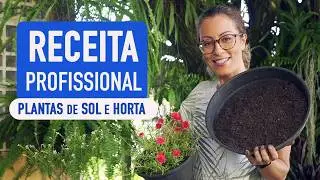 RECEITA PROFISSIONAL que as PLANTAS de SOL e de HORTA AMAM