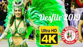 Mocidade Alegre 2019 - Desfile Oficial - 4K
