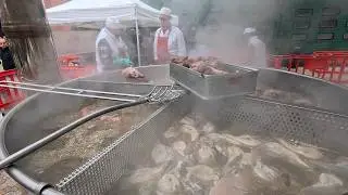 Cooking and Cutting 2500kg of Beef Stew. Italy Food Festival