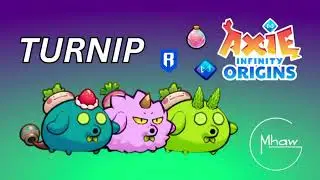 SnakeJar - Turnip Team | AXIE INFINITY ORIGIN V3