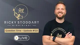 Вопросы и ответы в прямом эфире &ndash; Koi Pond Q&A с Рики Стоддартом | EP#122