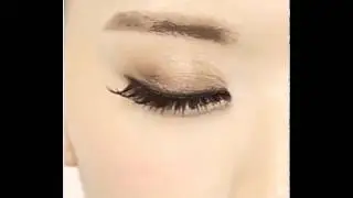 돌리윙크 아이래쉬 Dolly Wink Eyelash No.1 & No.5