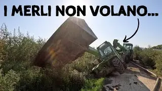 Черный дрозд в канаве!