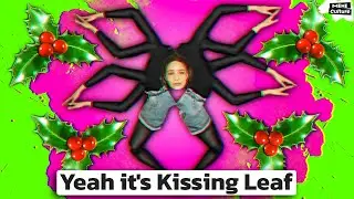 Kissing Leaf Girl. Why it's cute?