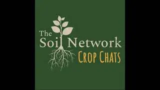 Scaling No-Till Without More Equipment: Mark Burnham on Soil, Slopes & Sustainability | Crop Chats
