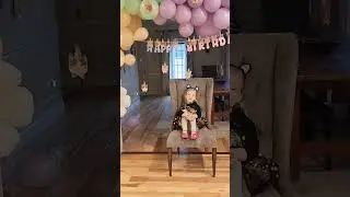 Memories from Rozzie's cat-themed 5th birthday party ❤️