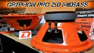 Обзор Gryphon PRO 250 midbass DL audio