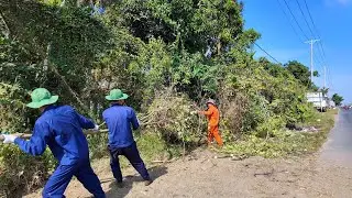 TIME LAPSE - 18 Minutes Rescuing an ABANDONED House BURIED Like a JUNGLE