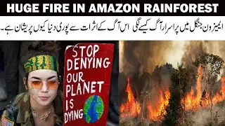 Amazon Rainforest is Burning | Amazon Jungle Ma Aag kis na lgai or kuon..