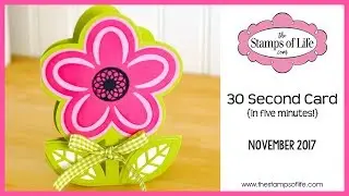 The Stamps of Life 30 Second Card in 5 Minutes with Stephanie Barnard November 2017