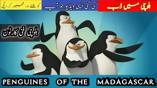 New balochi funny cartoon (2020)