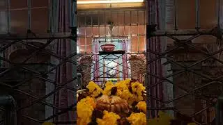 Animated video dependent on kids cartoon, trending songs, divine song, sayari, self written poem