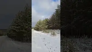 #осень28.12.22