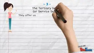 the three economic sectors