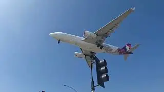 LAX Plane Spotting | Arriving Flights | May 30, 2024