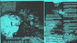 Lymphatic Phlegm / Gonkulator &ndash; Mechanisms Of Disease: An Introduction To Pathology / Untitled 2001
