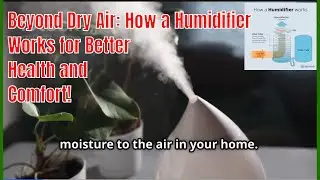 What is an Air Humidifier? How it's work!