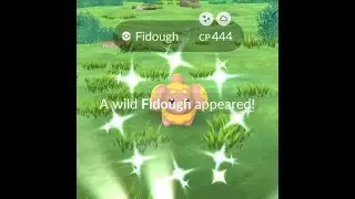 Shiny Fidough!!! Daily incense day 112