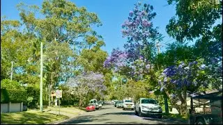 Sydney in spring 