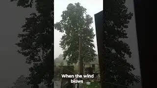 @Storm @rainningnight3482