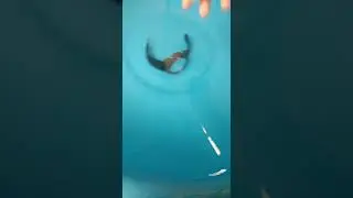 sonata watch waterproof  test