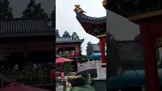 Old Shanghai China Sedayu City Town Kelapa Gading Food Heaven