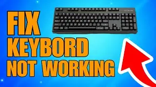 How To Fix Keyboard Not Working
