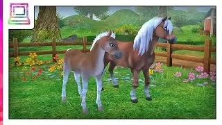 Star Stable Horses - My Chestnut Haflinger Horse Growing Up (Horse Game)
