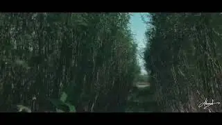Into ThE Nature.