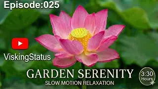  Episode 025 of the Relax series. We’ve designed this journey to be the antidote to a stressful day.