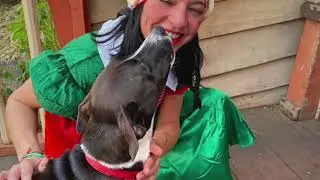 Rescued is My Favorite Breed Malta - Some Happily Ever Afters 2019 ❤️
