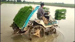 Amazing Rice Planting Machine in Action &ndash; Modern Farming Technology