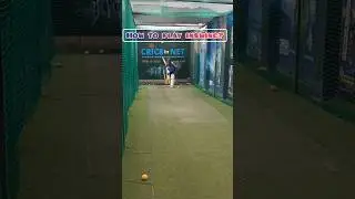 How to play inswing ball? | flick shot| #cricket #viratkohli #ipl #cricketer #viral  #practice