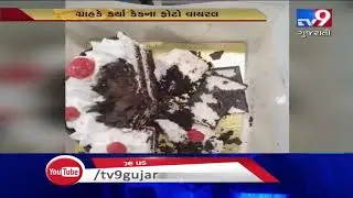 Ahmedabad: Customer finds insect in black forest cake purchased from 'Dangee Dums'| TV9News