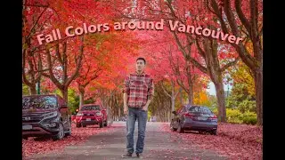 Vancouver Canada Fall  Autumn Colors | Fall Foliage