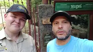 Costa Rica salvaje #serpientes #jaguar #animales #montaña #vidasilvestre 