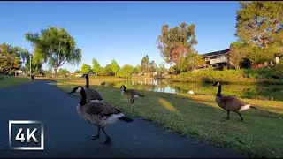 Relaxing walk in early morning at peaceful park