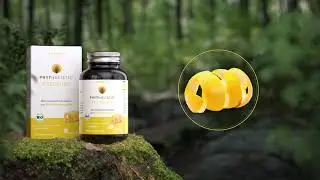 Fols&auml;ure aus der Natur - Echte Vitamine & Mineralien in Bioqualit&auml;t - Phytholistic