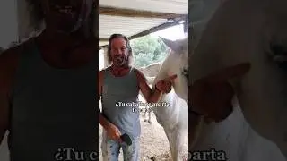 Lenguaje caballo🐴 #vivirenmanada