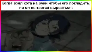 тик ток кит | подборка мемов 