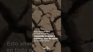 El Ni&ntilde;o y La Ni&ntilde;a alteran el clima y agravan calor, lluvias extremas y sequ&iacute;as. Conoce m&aacute;s aqu&iacute;.