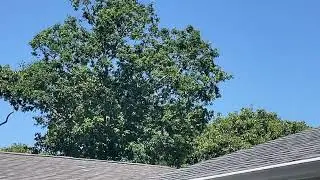 Cessna 208B Grand Caravan (N545GC) landing to Skydive Long Island over my house