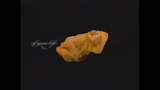 Howard Schatz for MGM Grand