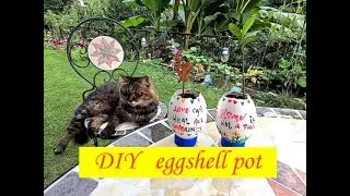DIY eggshell planter😊💓