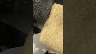 Wash With Altered Tide Pods Vid2